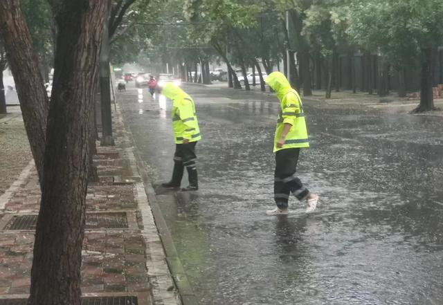 防汛常規(guī)物資中主要包含麻袋吸水膨脹袋,無紡布吸水膨脹袋,防汛沙袋,防汛噸袋,防汛編織袋,雨衣,雨靴,雨傘,彩條布,工兵鏟,十字鎬,八磅錘,應急救生包等。