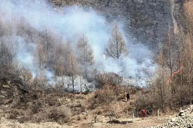 明火已扑灭，初步判断由祭祀用火引发！今年已发生多起