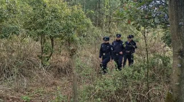 修文县公安局|强抓森林防火,守护绿水青山