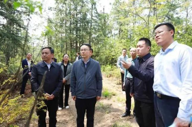 市委书记刘文华在柴桑区开展巡林工作