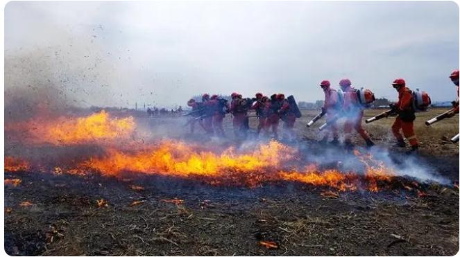 敦化市森林消防大队联合多方开展扑救森林火灾实战演练