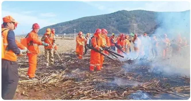 严防严控织密“防火网”——甘肃森林草原防火工作综述