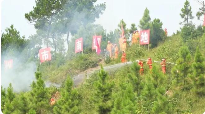 永州市南部地区（道县）2023年跨区域开云在线手机登录入口火灾扑救实战演练举行